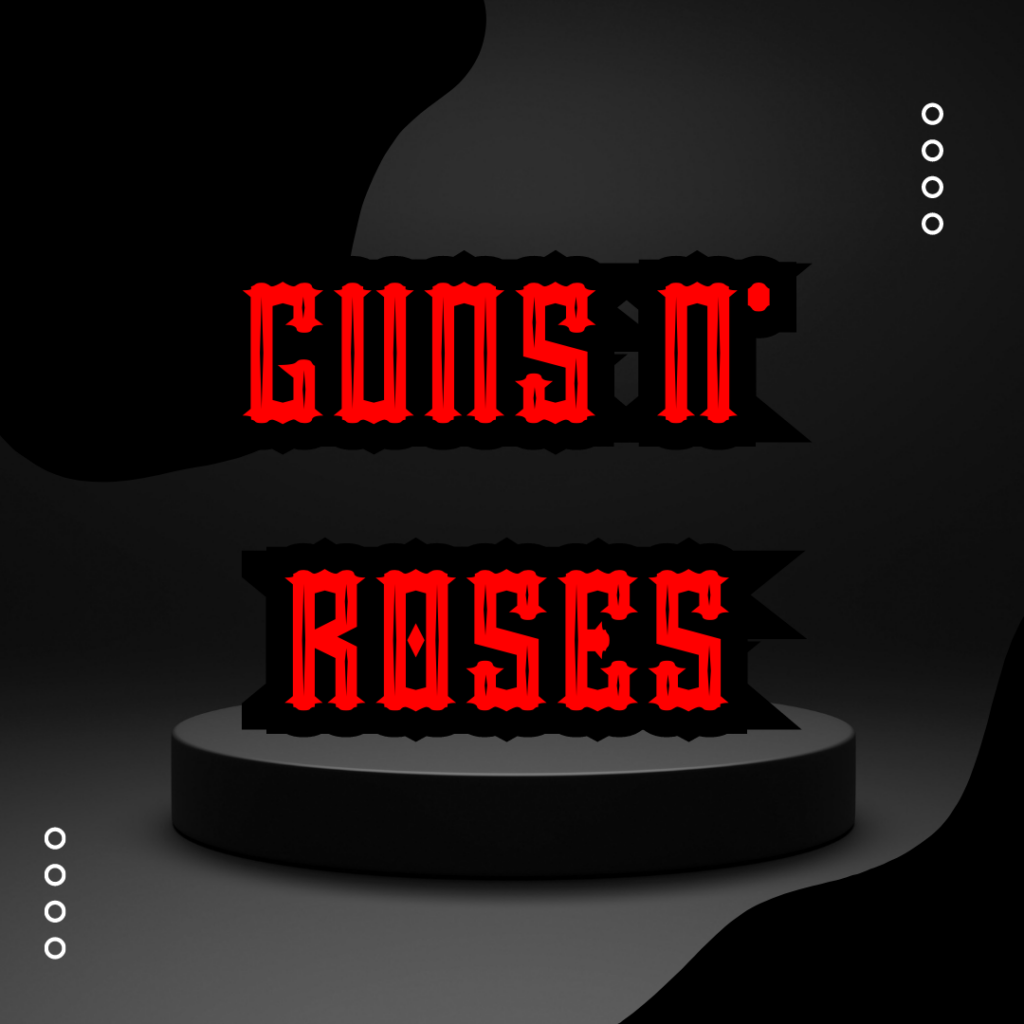 CAMISETA ROCK GUNS N ROSES